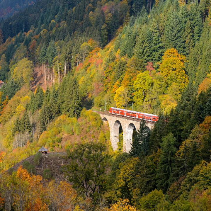 black-forest-railway-shutterbug